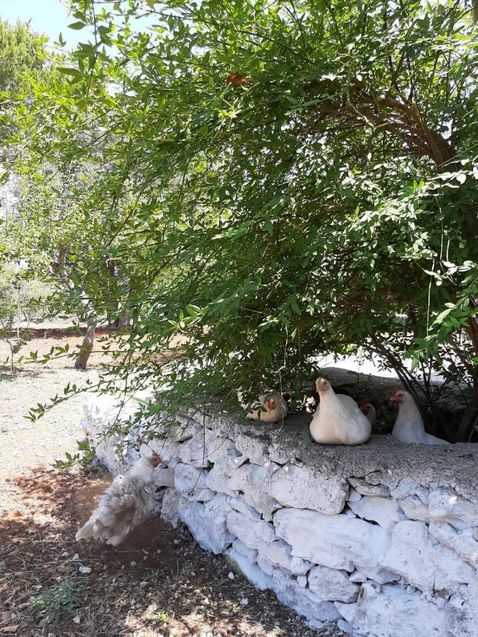 Trullo Fellone Vila Ceglie Messapica Exterior foto